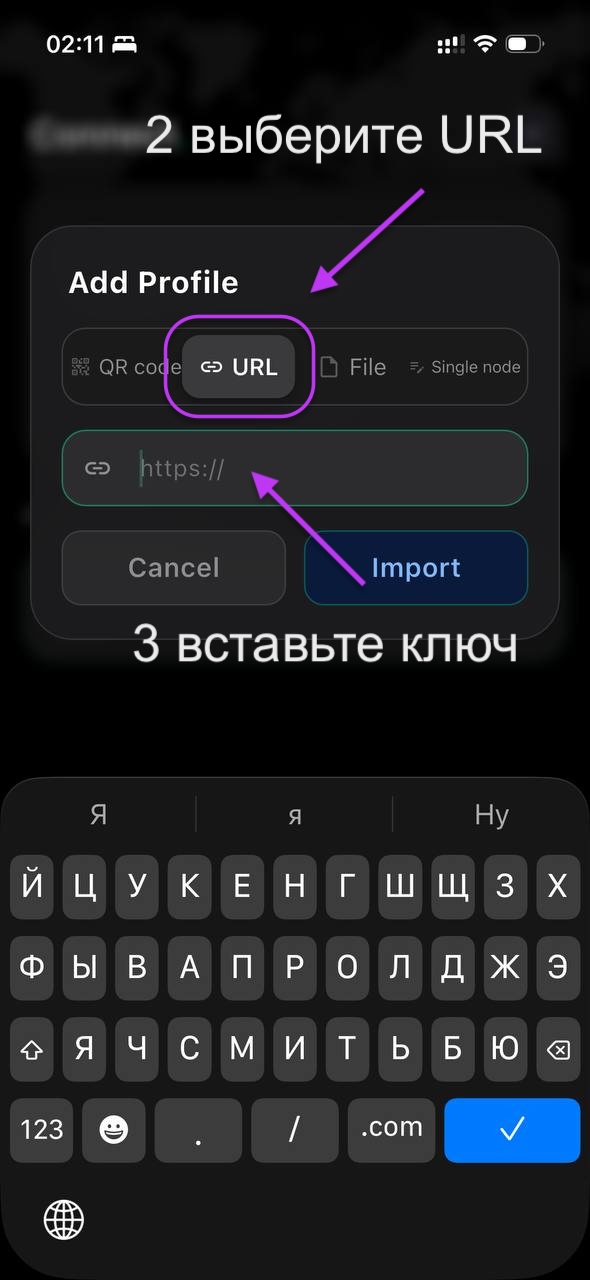 Шаги 2-3: вкладка URL и вставка ключа